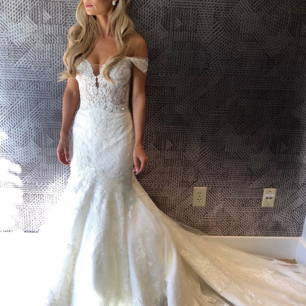 Pronovias Imelda Wedding Gown - Picture 14 of 16